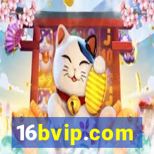 16bvip.com