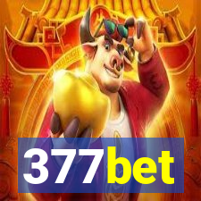 377bet