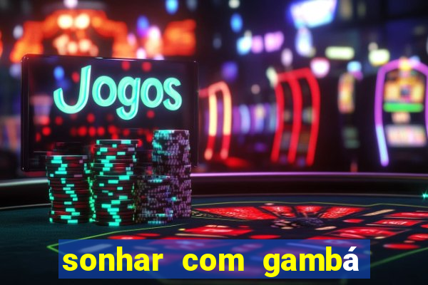 sonhar com gambá jogo do bicho