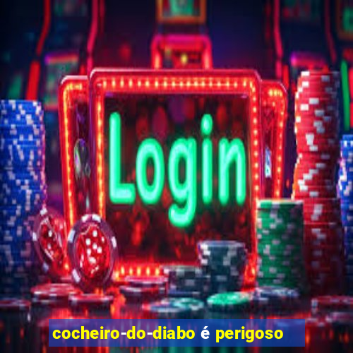 cocheiro-do-diabo é perigoso