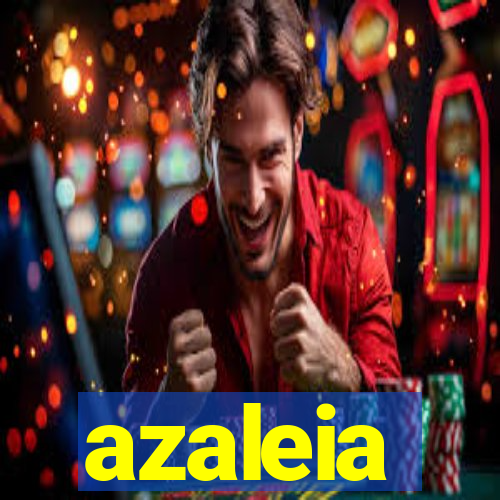 azaleia-br.com