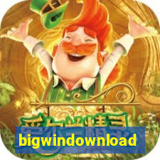 bigwindownload