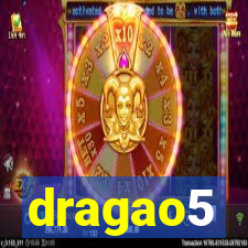 dragao5